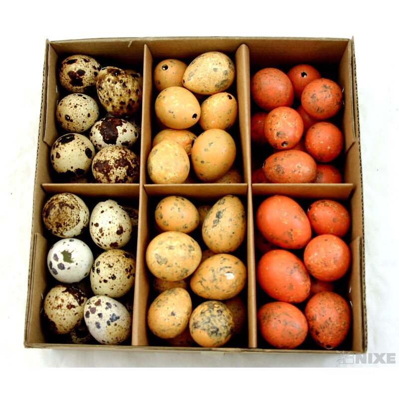 VAJÍČKA KŘEP. 3cm 72ks*MIX BAREV