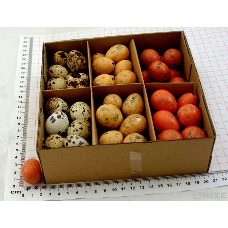 VAJÍČKA KŘEP. 3cm 72ks*MIX BAREV