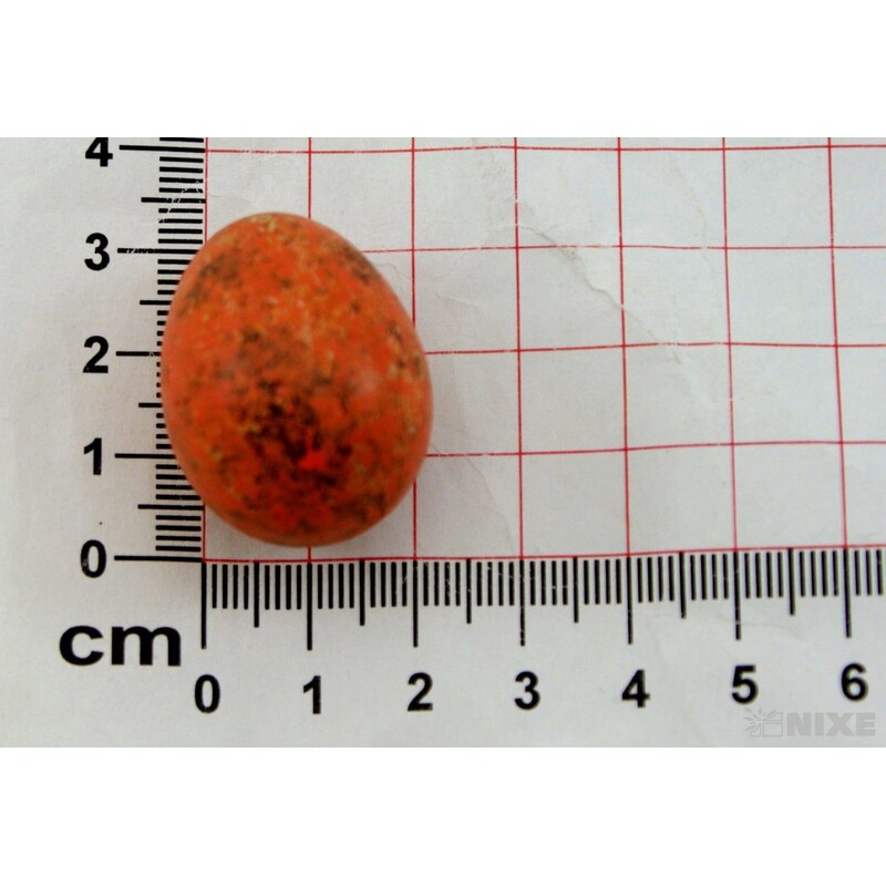 VAJÍČKA KŘEP. 3cm 72ks*MIX BAREV