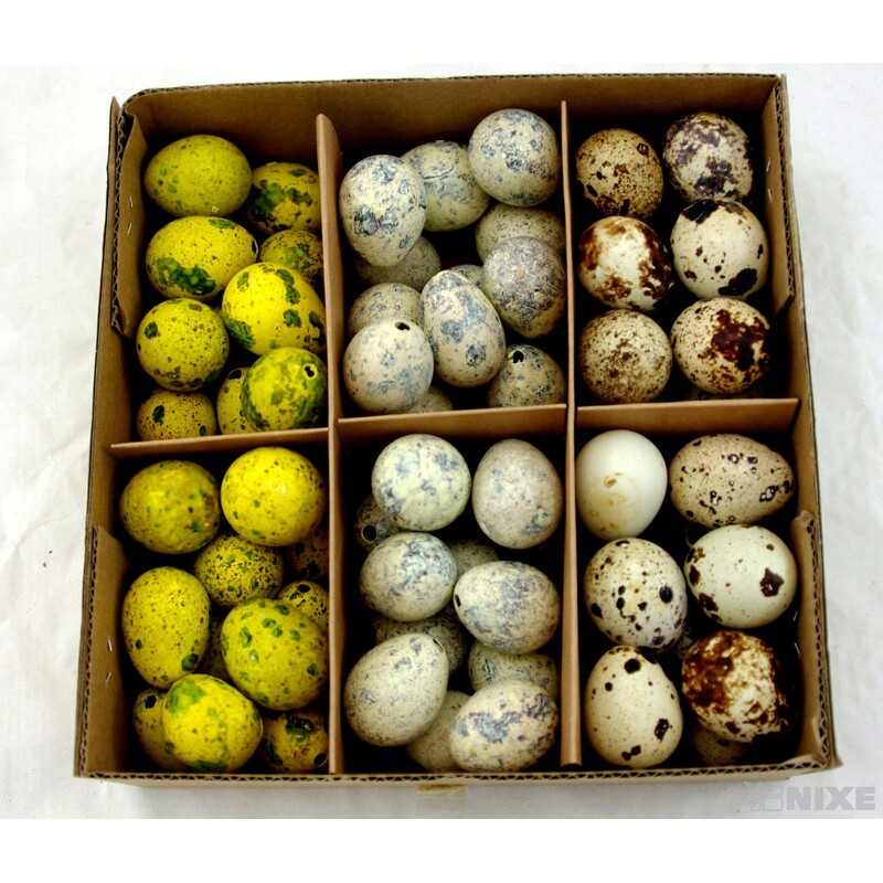 VAJÍČKA KŘEP. 3cm 72ks*MIX BAREV