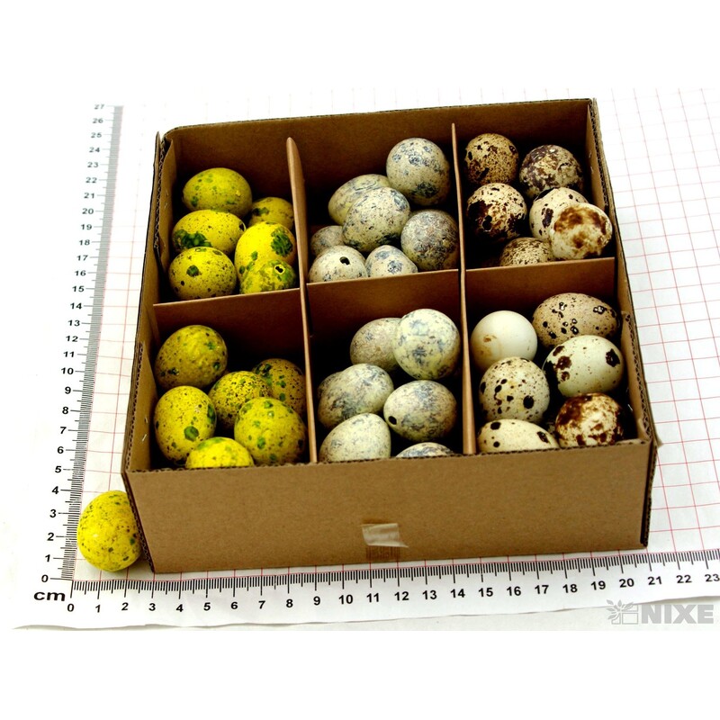 VAJÍČKA KŘEP. 3cm 72ks*MIX BAREV