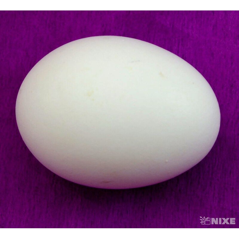 VAJÍČKA SLEP. 6cm 24ks*BÍLÁ