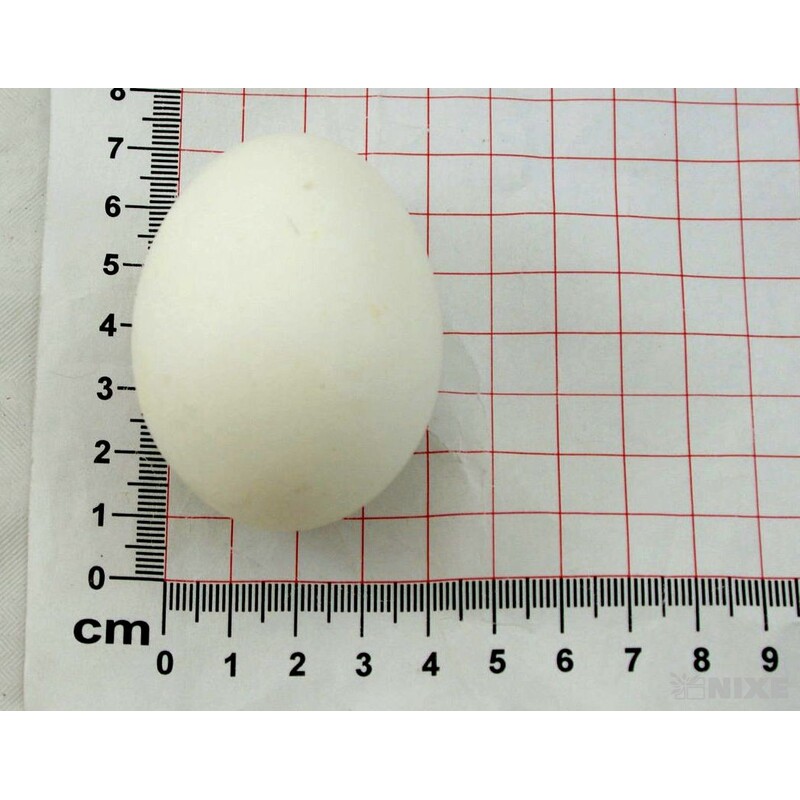 VAJÍČKA SLEP. 6cm 24ks*BÍLÁ