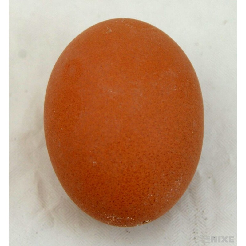 VAJÍČKA SLEP. 6cm 24ks*PŘÍRODNÍ