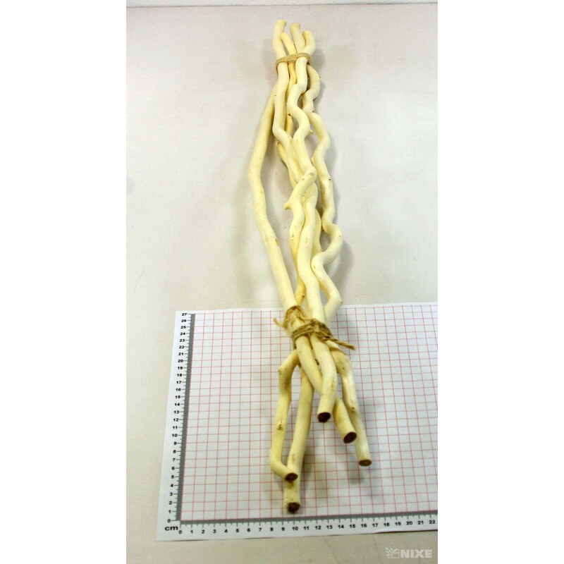 KUWA 80cm*PŘÍRODNÍ