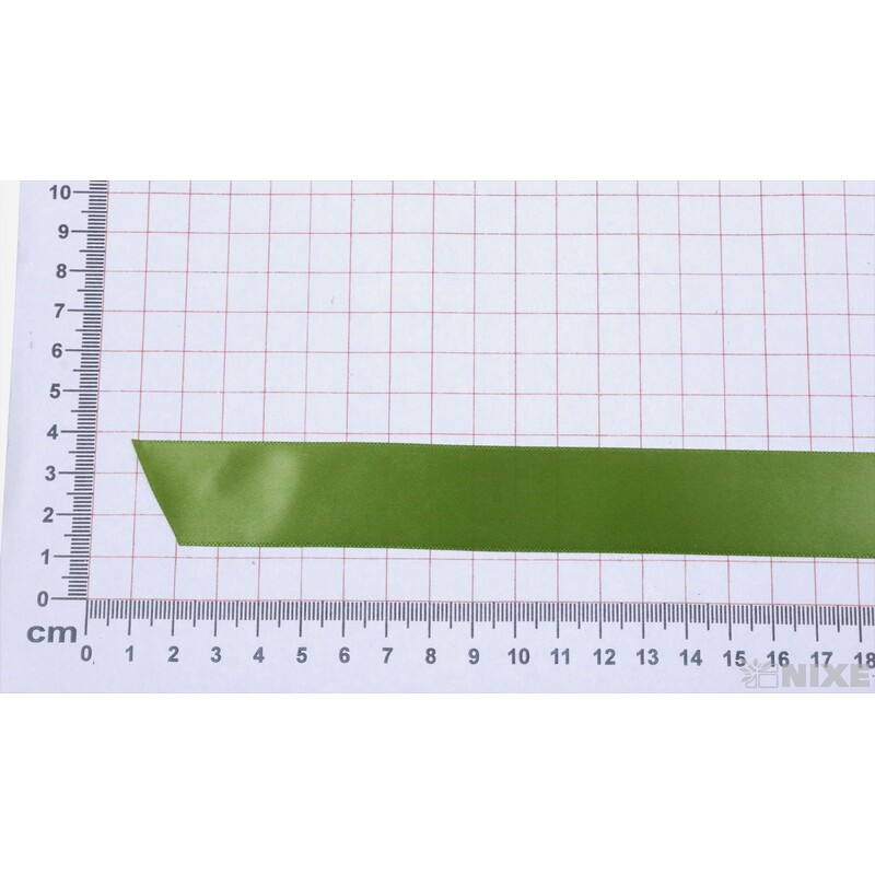 SATÉNOVÁ STUHA TTR JS 25mmx100m*ZELENÁ APPLE