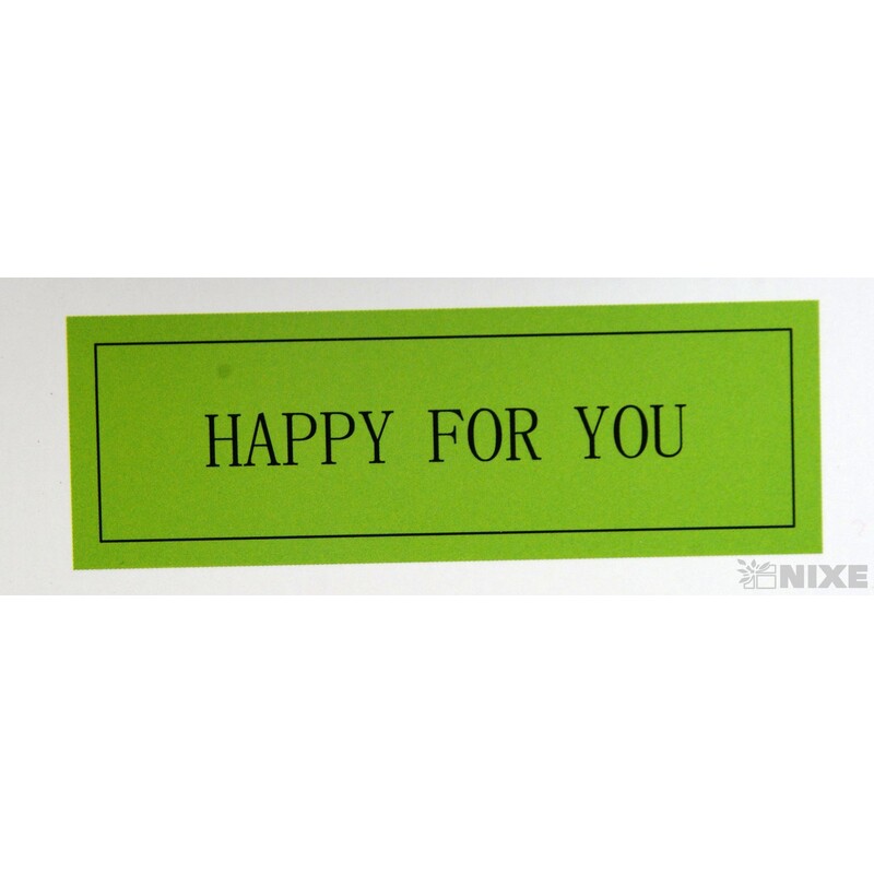 KRABICE LIST 3ks 28x10x21cm 24x9x17 21x8x14*ZELENÁ