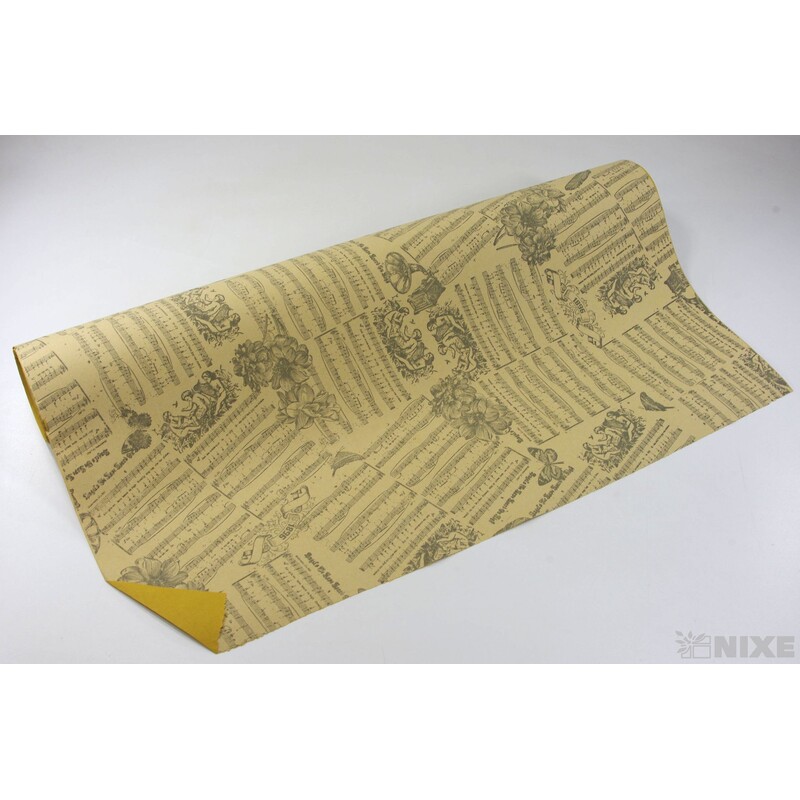 ROLE PAPÍR NOTY 70cmx50m*ČERNÁ