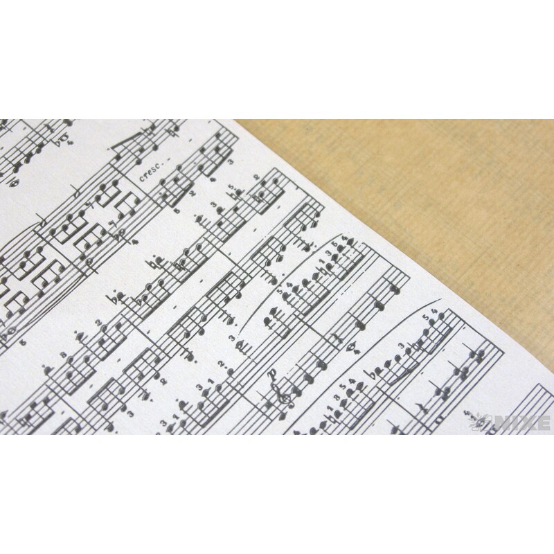 OBAL KRAFT NOTY 33x29x5cm*BÍLÁ