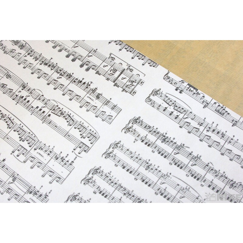 OBAL KRAFT NOTY 50x47x7cm*BÍLÁ