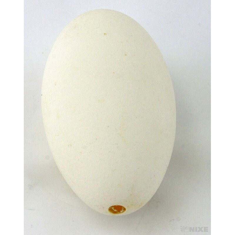 VAJÍČKA LABUŤ 9cm 6ks*PŘÍRODNÍ