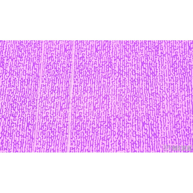 30cm SALOME P1 RONDO*FIALOVÁ