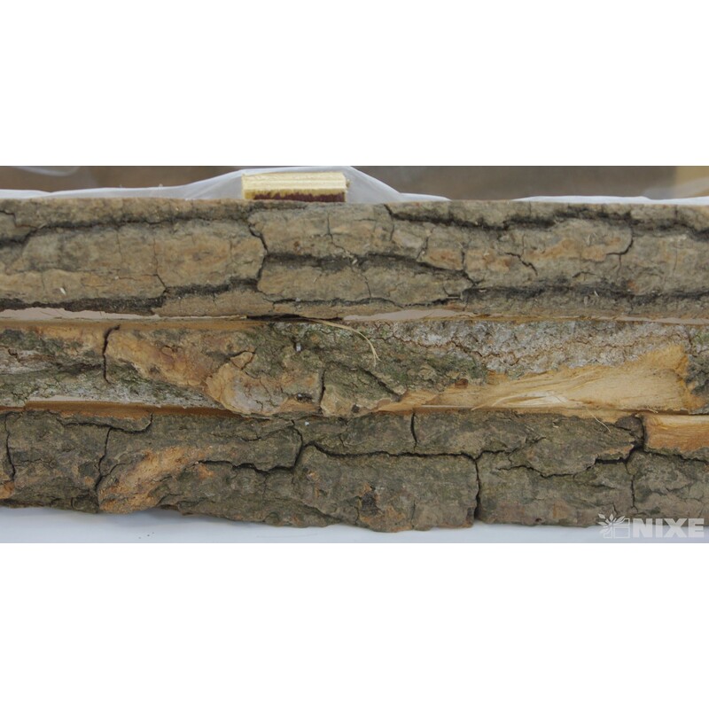 TRUHLÍK 35x12x10cm*PŘÍRODNÍ