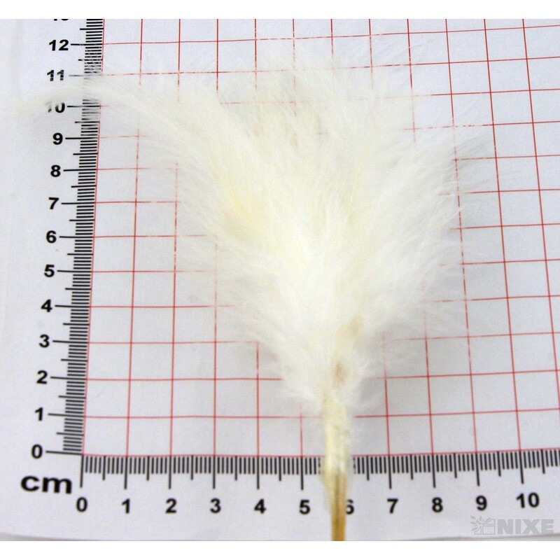 ZÁPICH PEŘÍ 50ks 11x34cm*