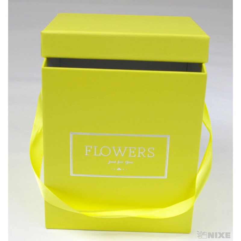 KVĚTINOVÝ BOX 15x18x15cm*ŽLUTÁ