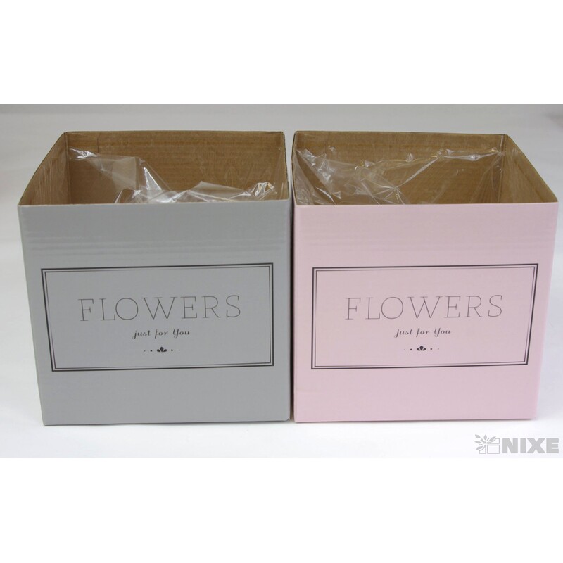 KVĚTINOVÝ BOX 6ks 14,5x15,5cm*MIX BAREV