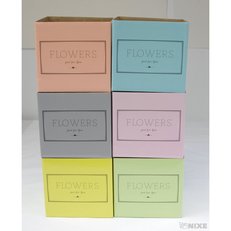 KVĚTINOVÝ BOX 6ks 14,5x15,5cm*MIX BAREV