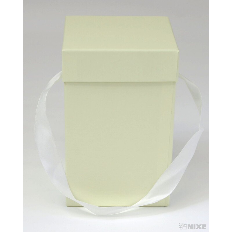 KRABICE 16x10x10cm*KRÉMOVÁ