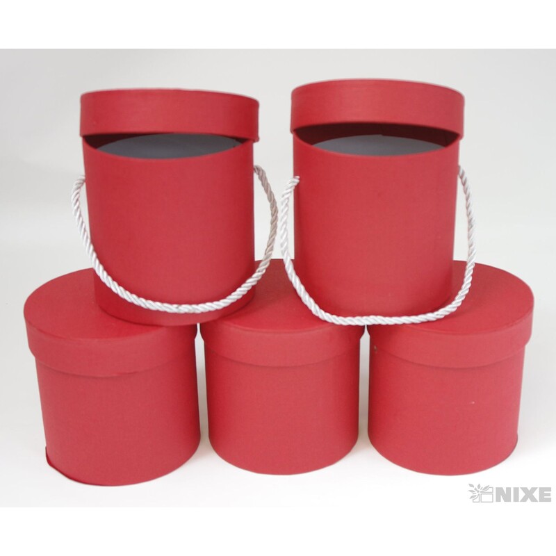 KVĚTINOVÝ BOX 5ks pr. 12x12cm*MIX BAREV