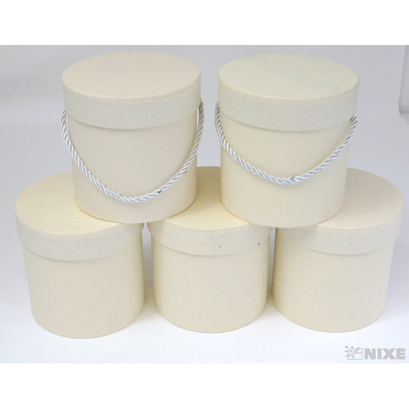 KVĚTINOVÝ BOX 5ks pr. 12x12cm*MIX BAREV