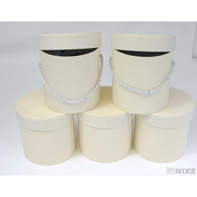 KVĚTINOVÝ BOX 5ks pr. 12x12cm*MIX BAREV