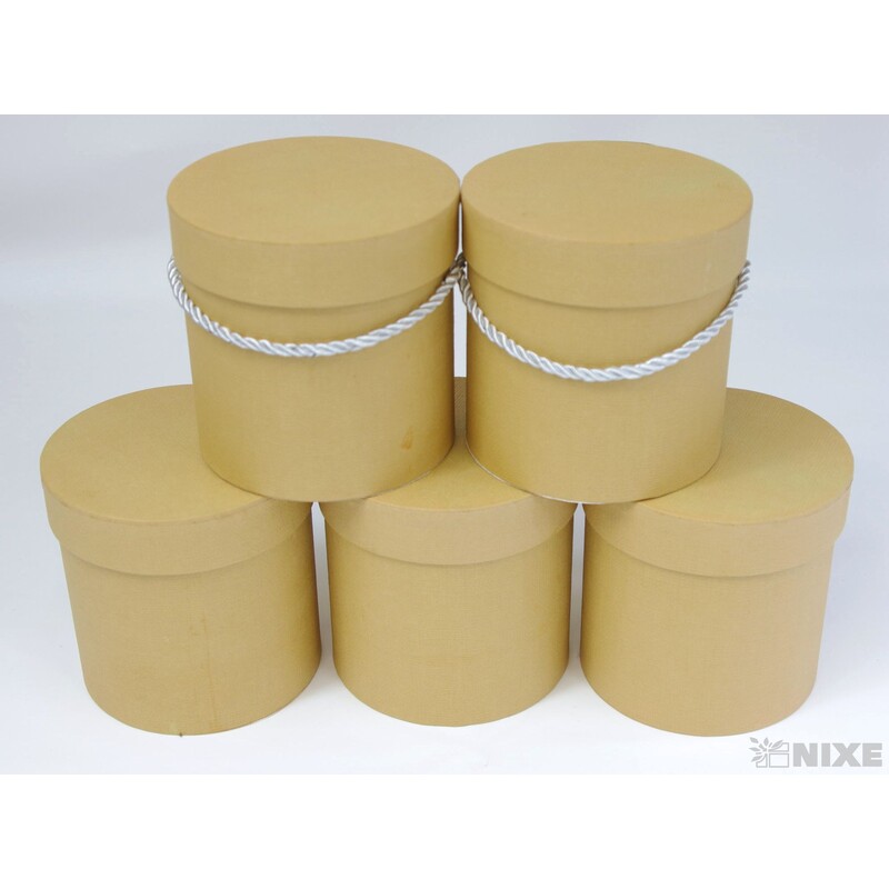 KVĚTINOVÝ BOX 5ks pr. 12x12cm*MIX BAREV