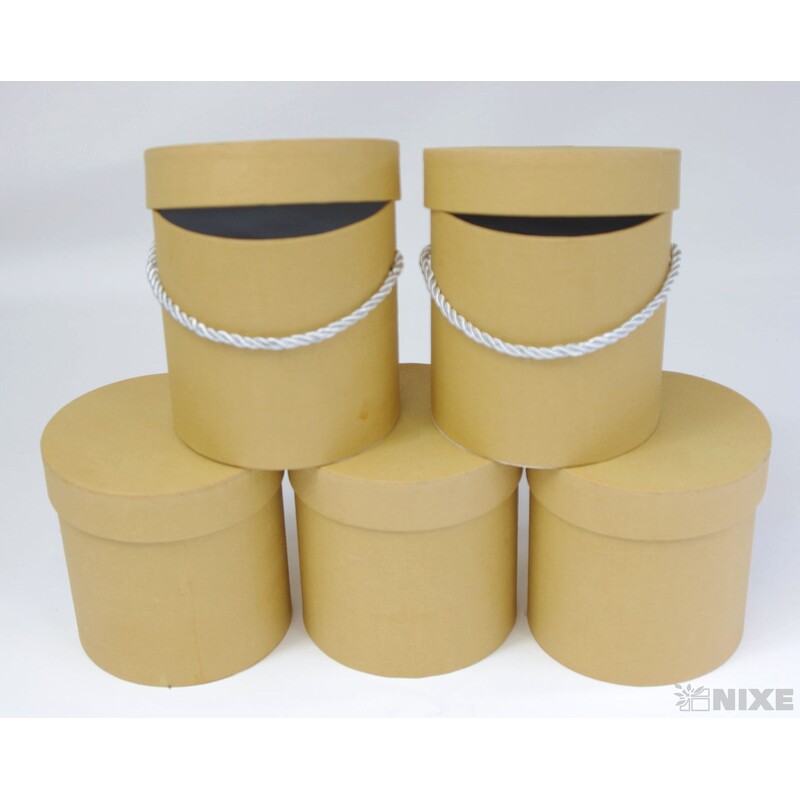 KVĚTINOVÝ BOX 5ks pr. 12x12cm*MIX BAREV