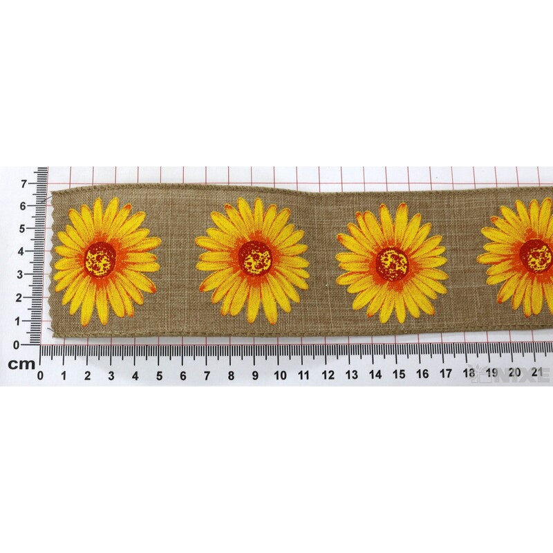 CONTE 60mmx10yd*PŘÍRODNÍ G305