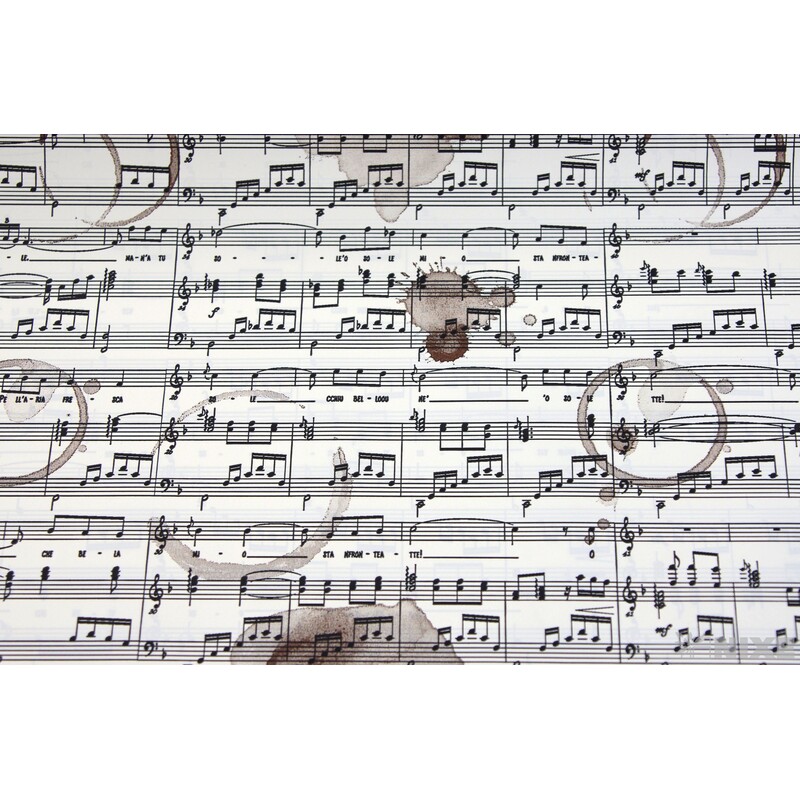 ROLE PLAST MUSICA 60cmx40m*KRÉMOVÁ