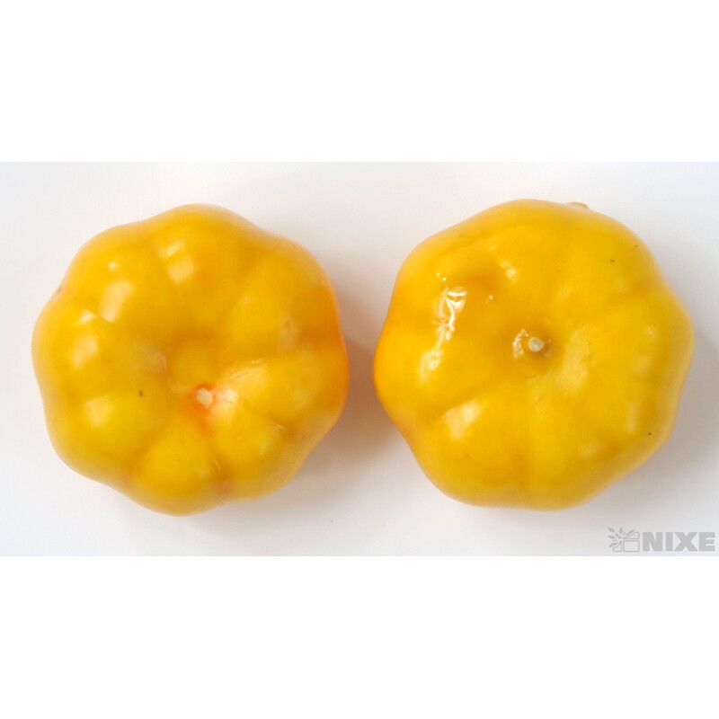 DÝNĚ 3,5cm 100ks*ORANŽOVÁ