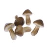 HŘÍBKY 7cm 5ks*HNĚDÁ