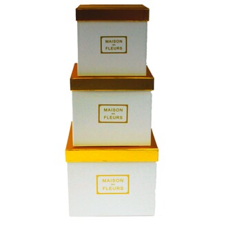 KRABICE 22x19x22cm 19x17x19 16x15x16*BÍLÁ+ZLATÁ