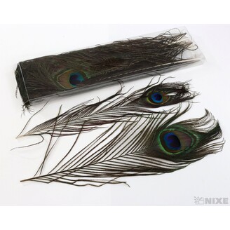 PEŘÍ PÁV 29cm 12ks*