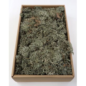 MECH SUŠENÝ 500g*PŘÍRODNÍ