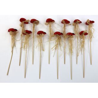 ZÁPICH BERUŠKA 12ks 4x20cm*ČERVENÁ