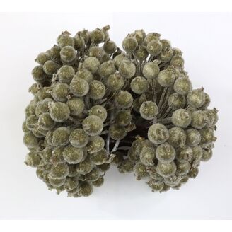 BOBULE NA DR 1x15cm 40ks 10sv*ZLATÁ