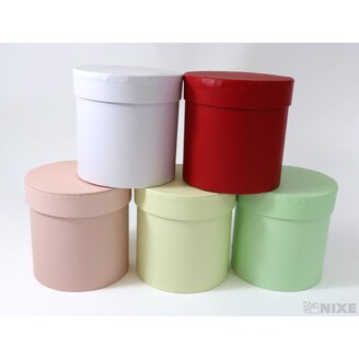 KVĚTINOVÝ BOX 5ks pr. 12x12cm*MIX BAREV