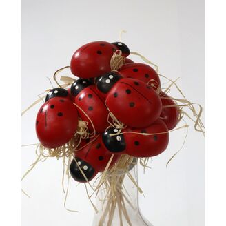 ZÁPICH BERUŠKA 5x20cm 12ks*ČERVENÁ