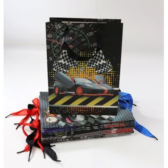 TAŠKA LUX SMOCHODY 18x24x8,5cm*