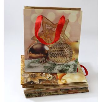 TAŠKA LUX BOMBKI 18x24x8,5cm*