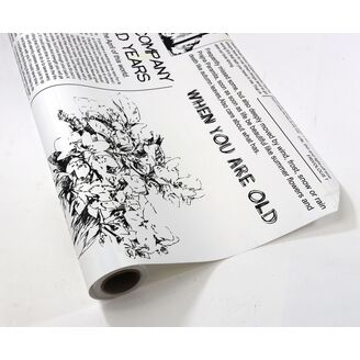 PL ROLE FOLIE NOVINY 58cmx10m*