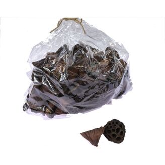 LOTOS 4-6cm 100ks*HNĚDÁ