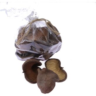 BADAM NUT 8-9cm 15ks*PŘÍRODNÍ