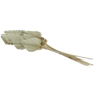 PALM SPEAR 50cm 10ks*PŘÍRODNÍ