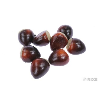 KAŠTAN 3cm 8ks*HNĚDÁ