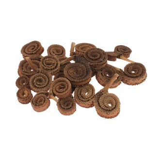 RAMS HORN 12ks*HNĚDÁ