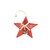 ZÁVĚS HVĚZDA D 10cm*ČERVENÁ