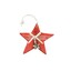 ZÁVĚS HVĚZDA D 10cm*ČERVENÁ
