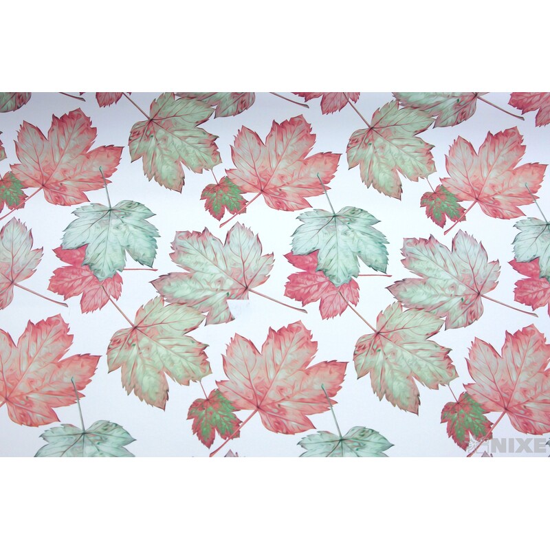 ROLE B-T36PM 80cmx40m*BÍLÁ V+