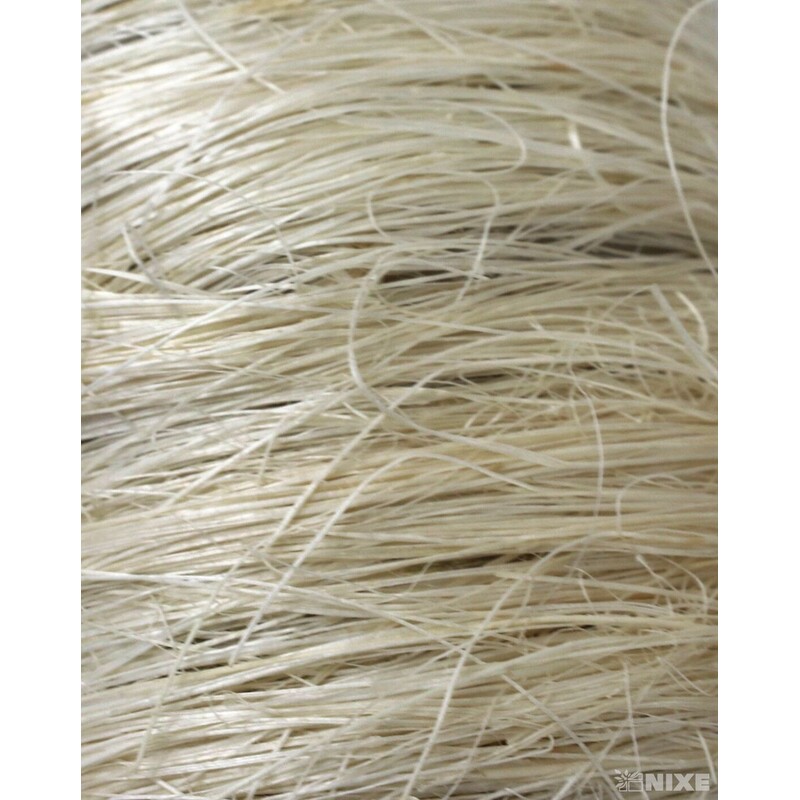 RŮŽEK 6x60cm*BÍLÁ